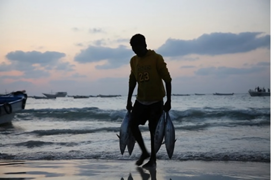 MicroDahab MFI clients