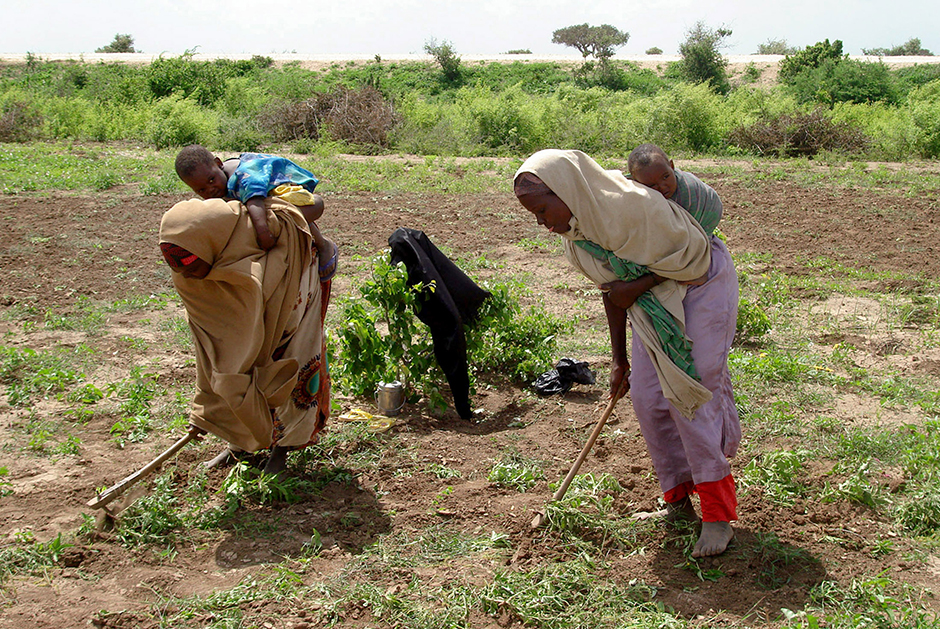 Agriculture
