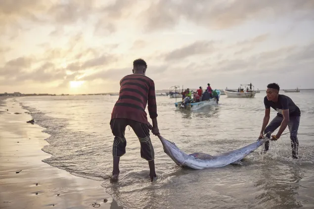 Fishery